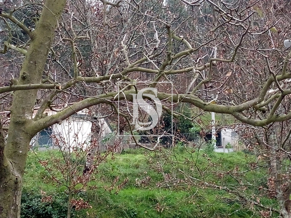 Terreno para Venda em Rossas Foto 7