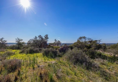 Terreno para Venda em Silves