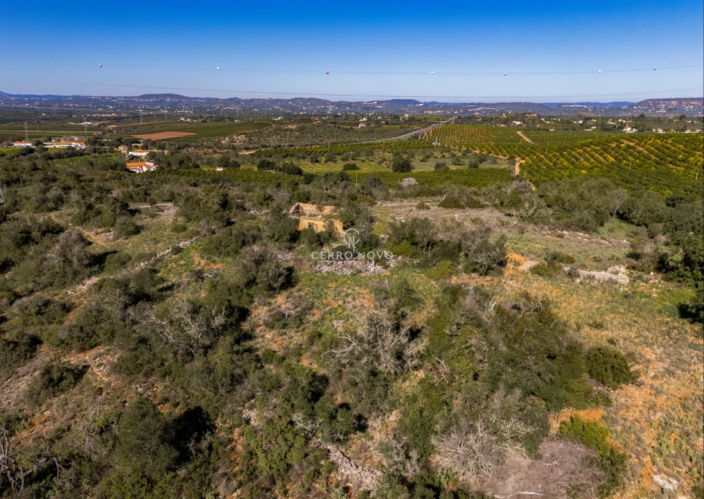 Terreno para Venda em Silves Foto 9