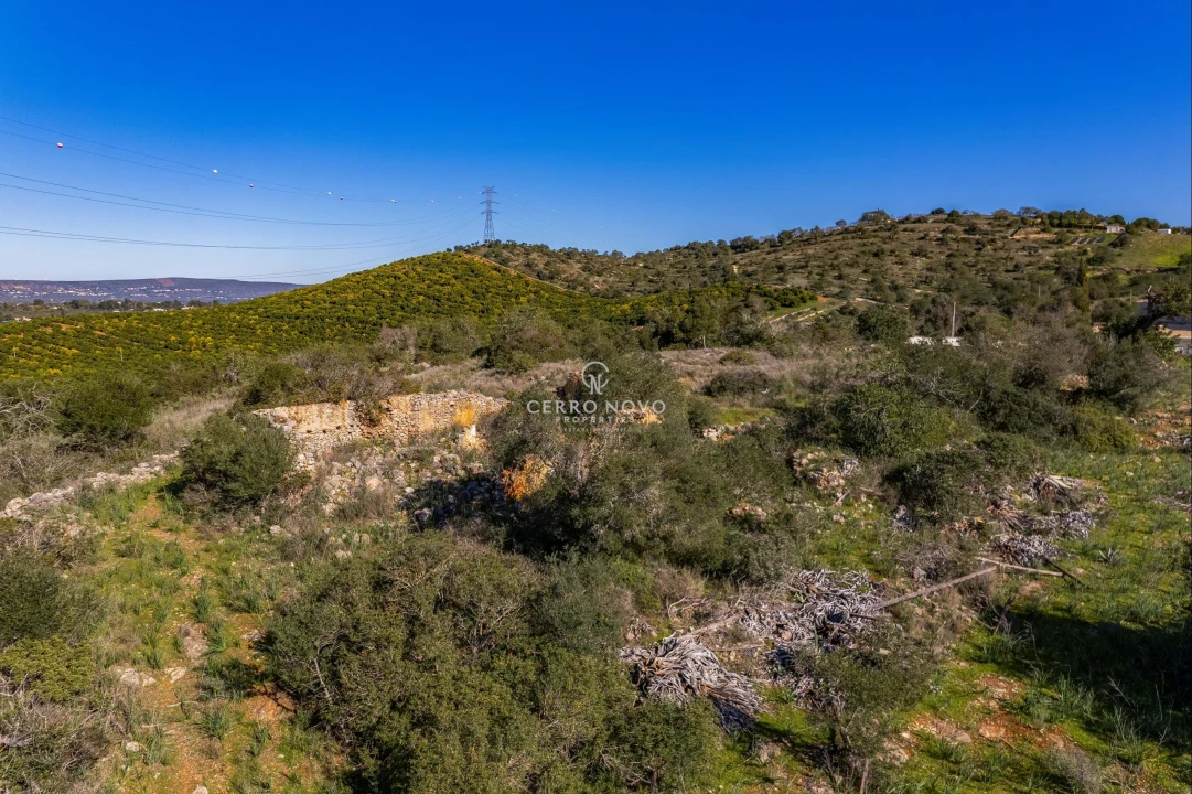 Terreno para Venda em Silves Foto 8