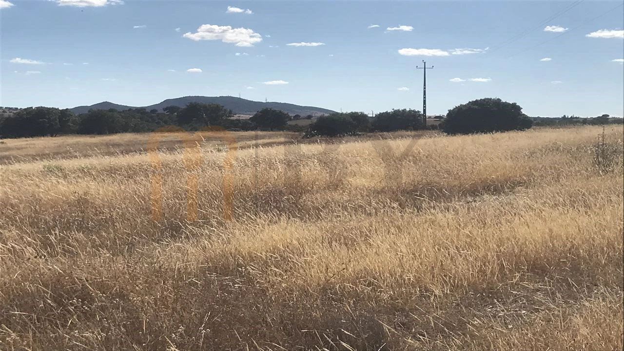 Terreno Agricola ou Rústico para Venda em Mertola Foto 7