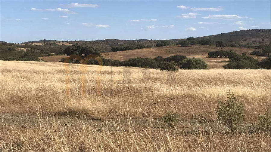 Terreno Agricola ou Rústico para Venda em Mertola Foto 6
