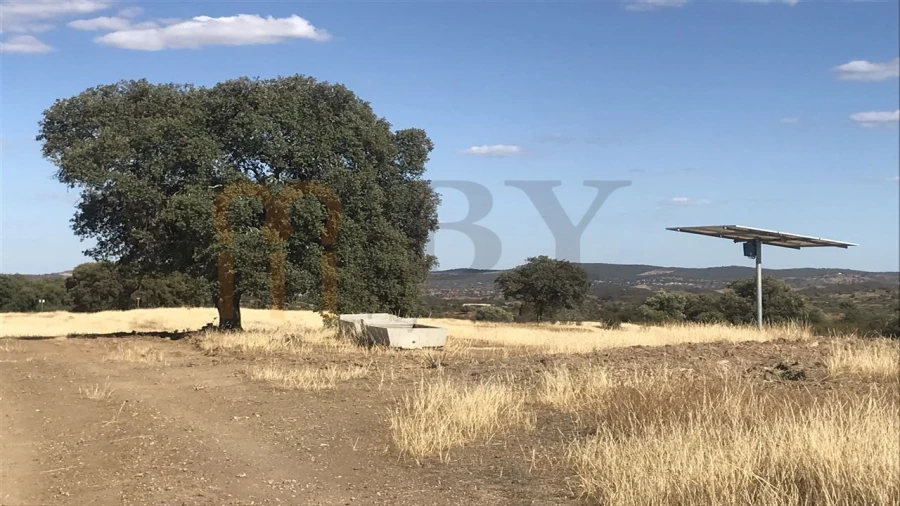 Terreno Agricola ou Rústico para Venda em Mertola