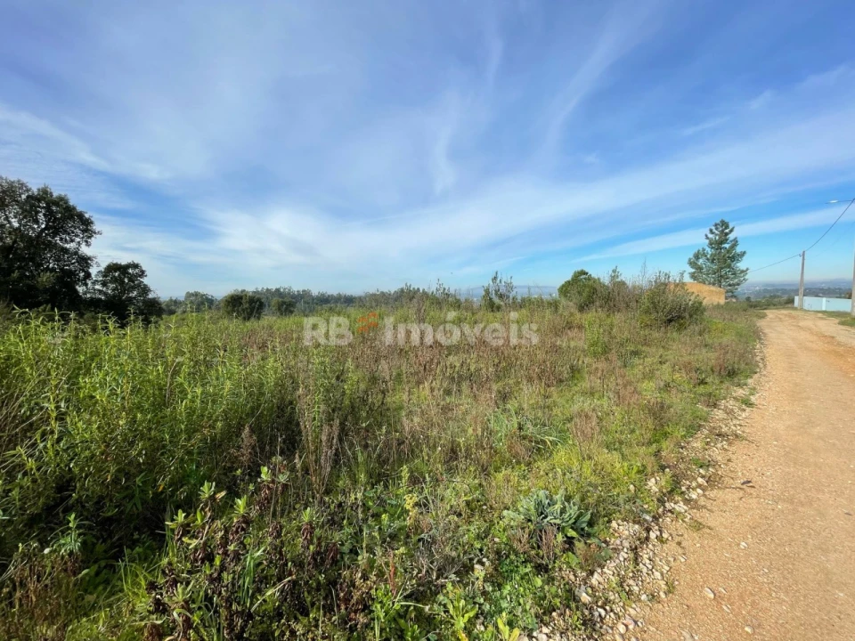 Terreno Misto para Venda em São Pedro de Tomar Foto 2