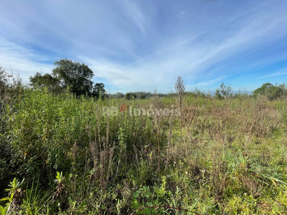 Terreno Misto para Venda em São Pedro de Tomar Foto 5