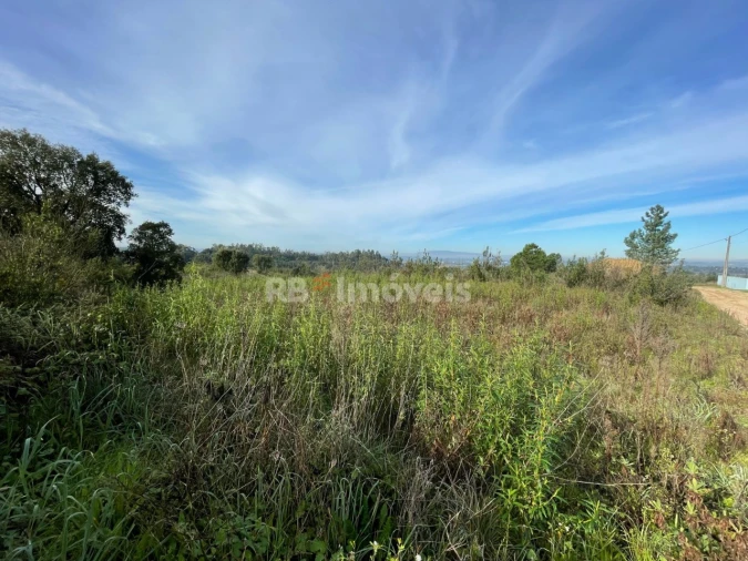 Terreno Misto para Venda em São Pedro de Tomar Foto 3