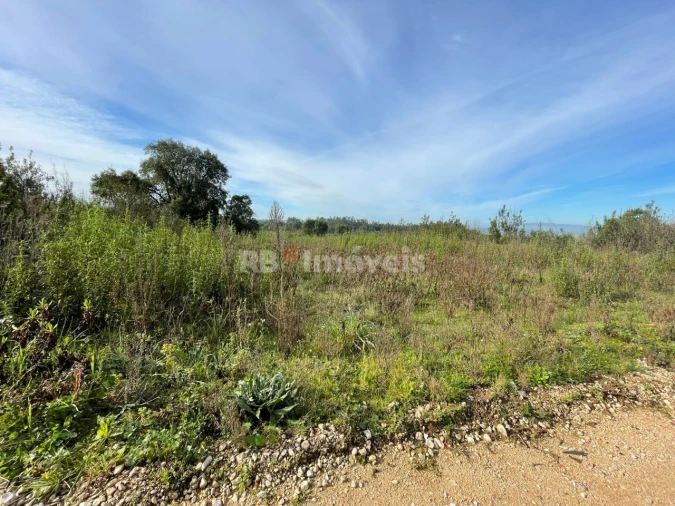 Terreno Misto para Venda em São Pedro de Tomar Foto 4