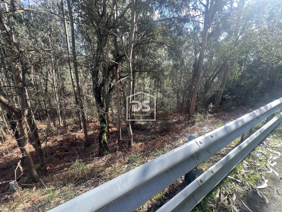 Terreno para Venda em Sobreira Foto 13