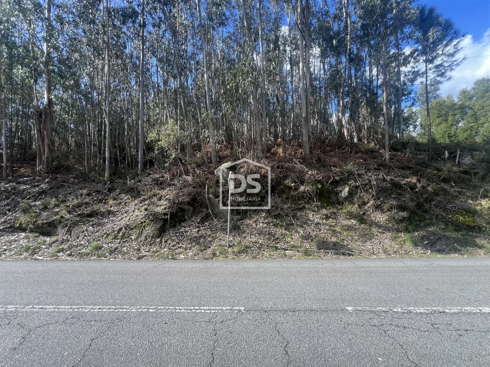 Terreno para Venda em Sobreira Foto 1