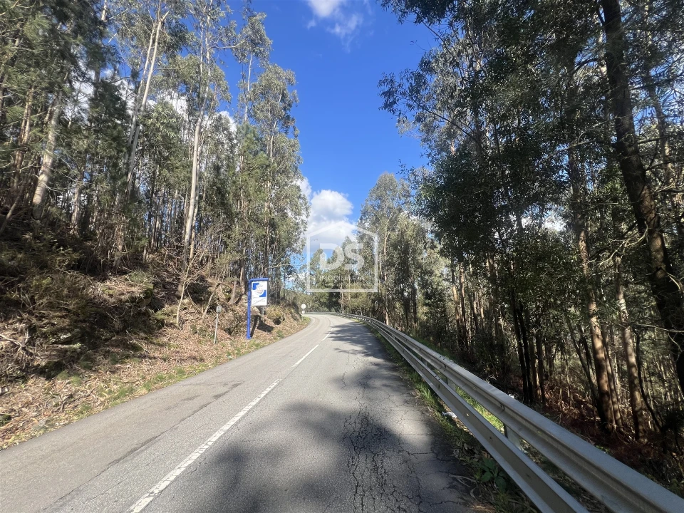 Terreno para Venda em Sobreira Foto 18