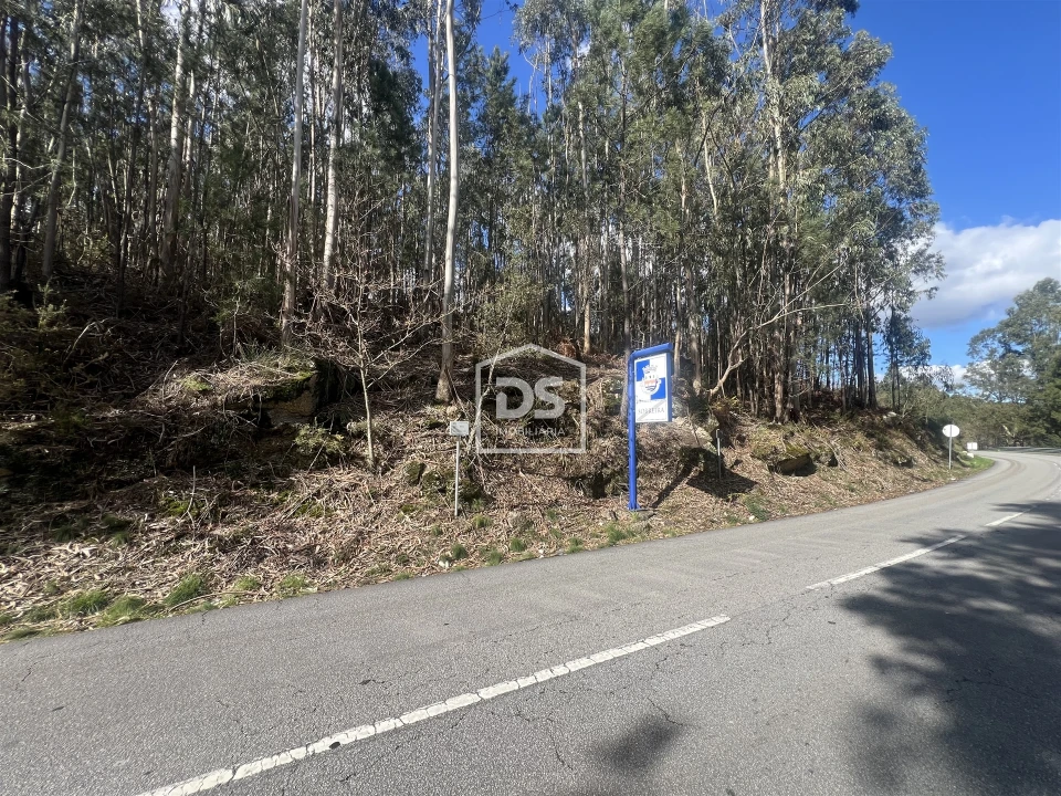 Terreno para Venda em Sobreira Foto 6