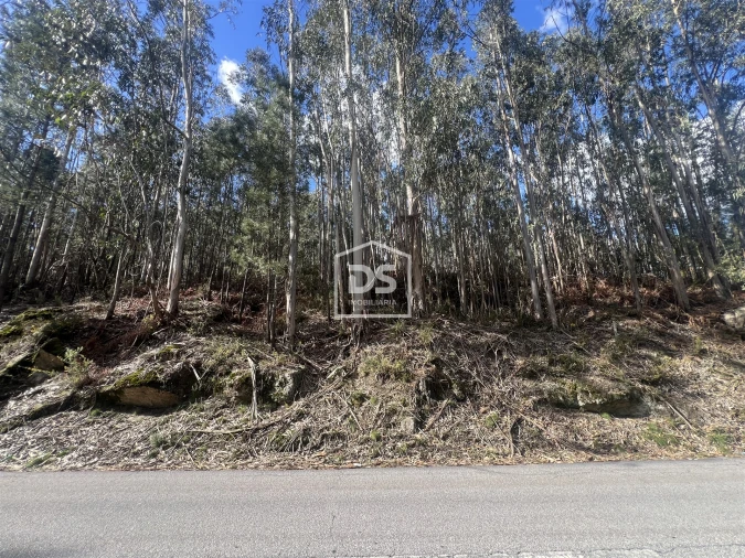 Terreno para Venda em Sobreira Foto 10