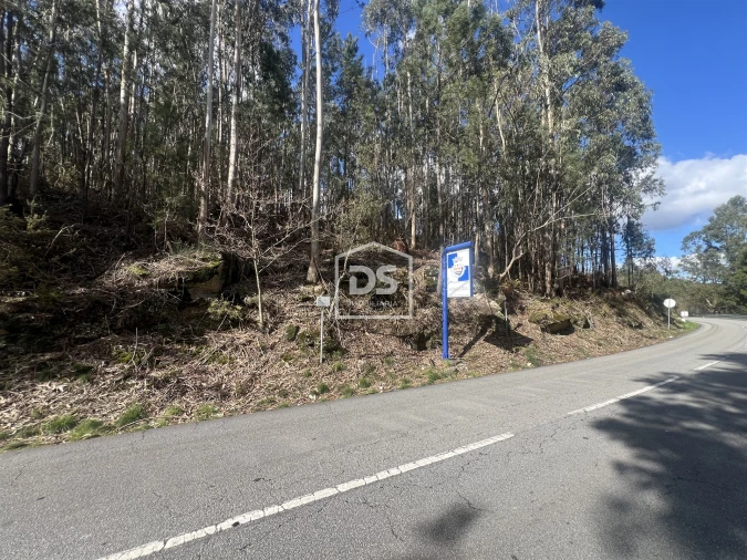 Terreno para Venda em Sobreira Foto 6