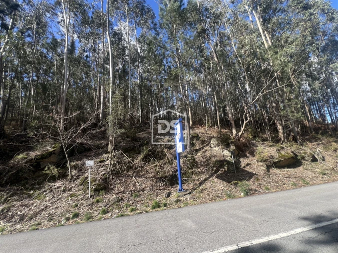 Terreno para Venda em Sobreira Foto 9