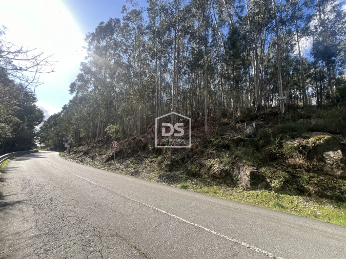 Terreno para Venda em Sobreira Foto 3