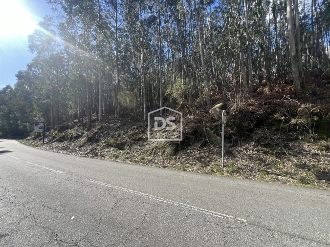 Terreno para Venda em Sobreira Foto 4