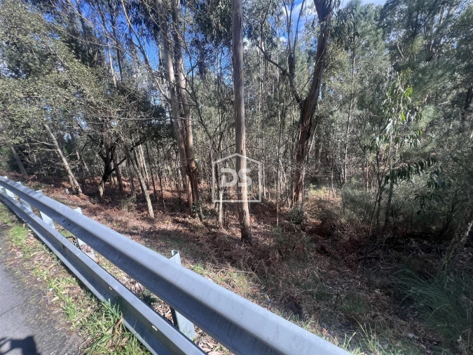 Terreno para Venda em Sobreira Foto 16