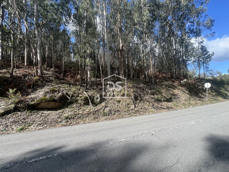 Terreno para Venda em Sobreira Foto 5