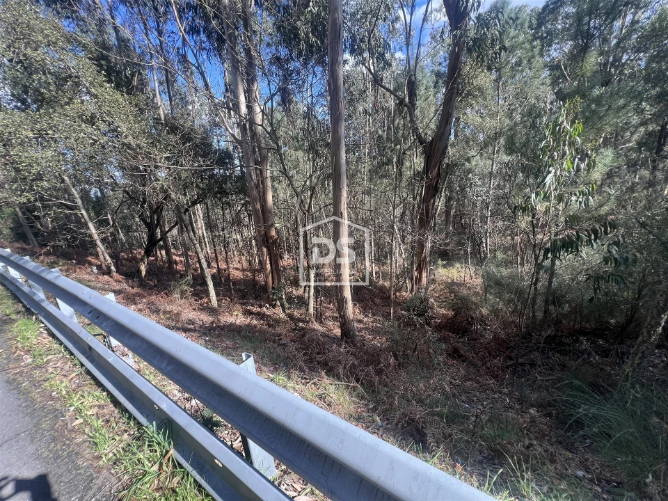 Terreno para Venda em Sobreira Foto 16