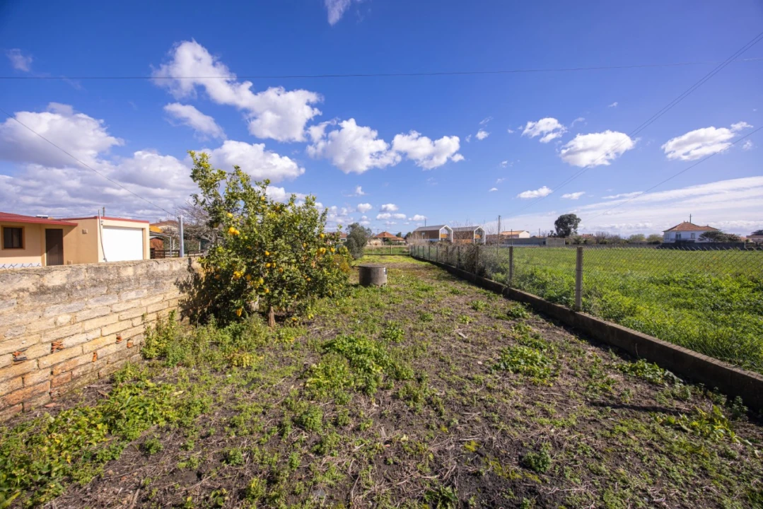 Terreno para Venda em Murtosa Foto 6