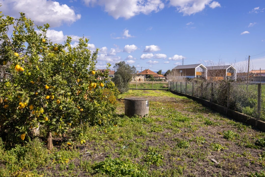 Terreno para Venda em Murtosa Foto 7
