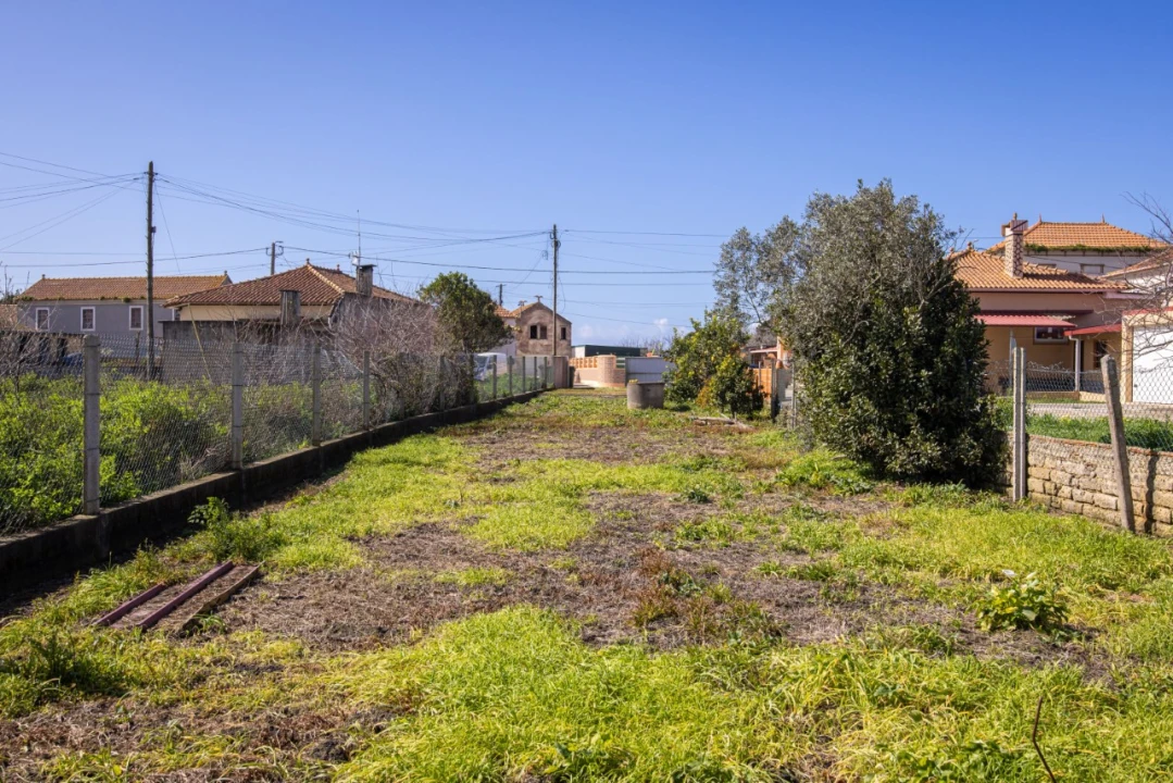 Terreno para Venda em Murtosa Foto 11