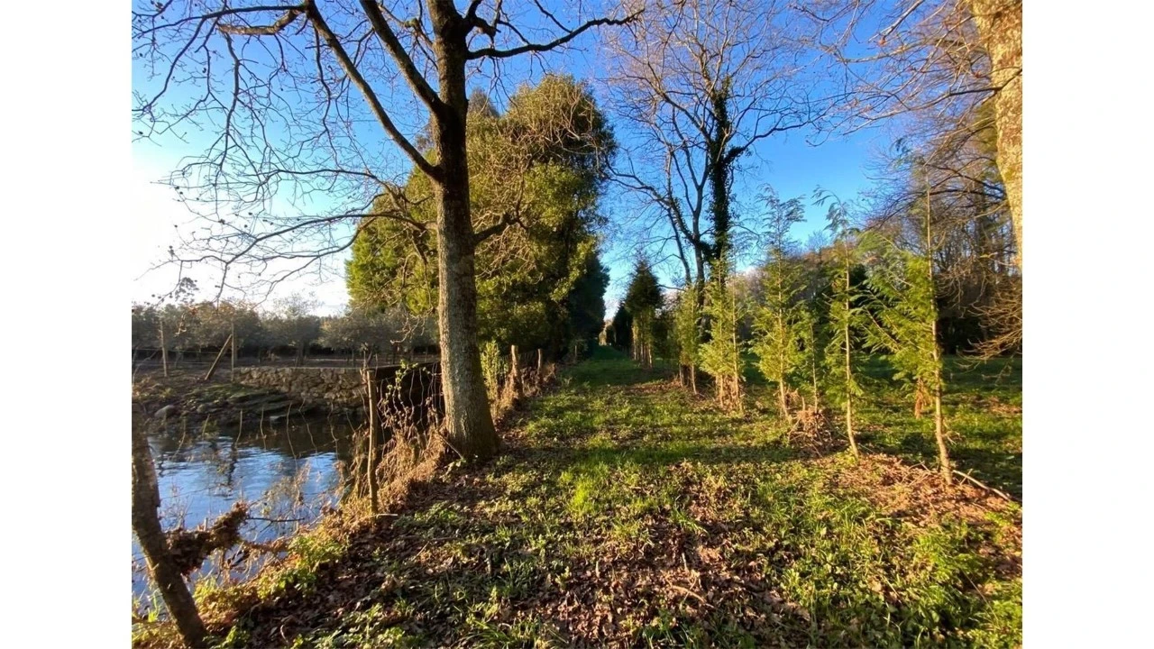 Terreno para Venda em Fragoso Foto 14