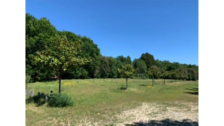 Terreno para Venda em Fragoso Foto 9