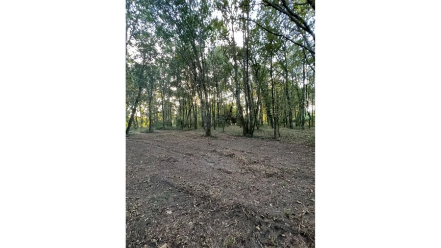 Terreno para Venda em Fragoso Foto 3