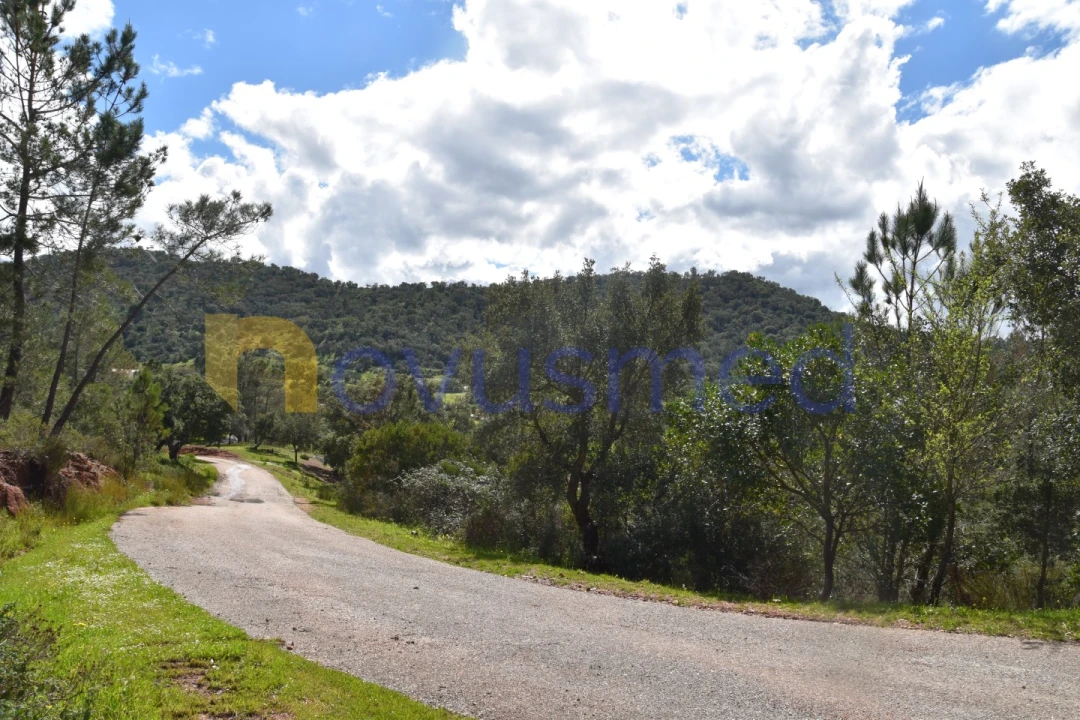 Terreno Agricola ou Rústico para Venda em Alte Foto 6