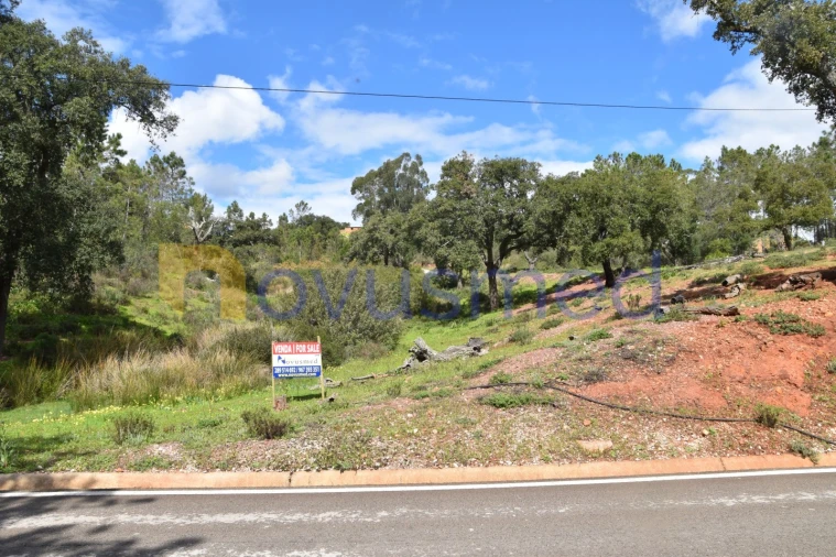 Terreno Agricola ou Rústico para Venda em Alte Foto 5
