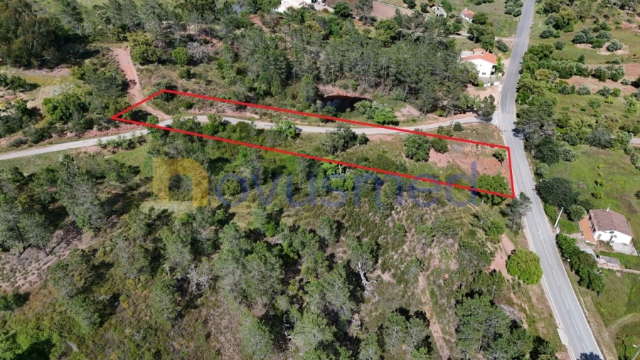 Terreno Agricola ou Rústico para Venda em Alte Foto 3