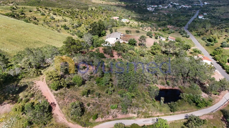 Terreno Agricola ou Rústico para Venda em Alte Foto 10