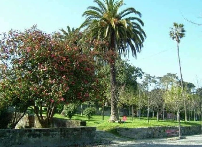 Apartamento T2 para Venda em Paranhos Foto 9