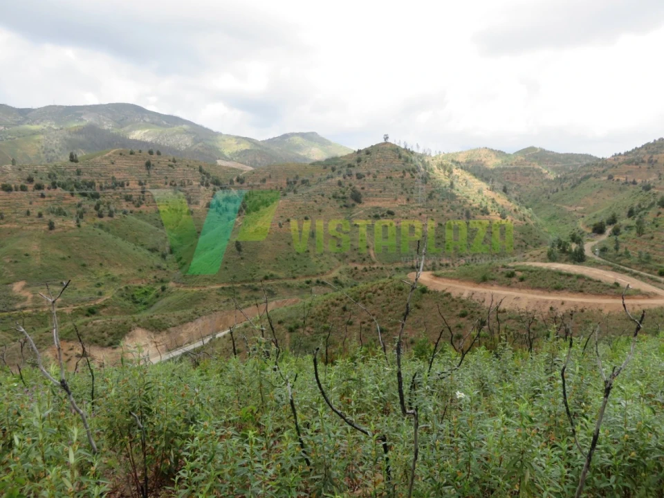 Terreno Agricola ou Rústico para Venda em Alferce Foto 10
