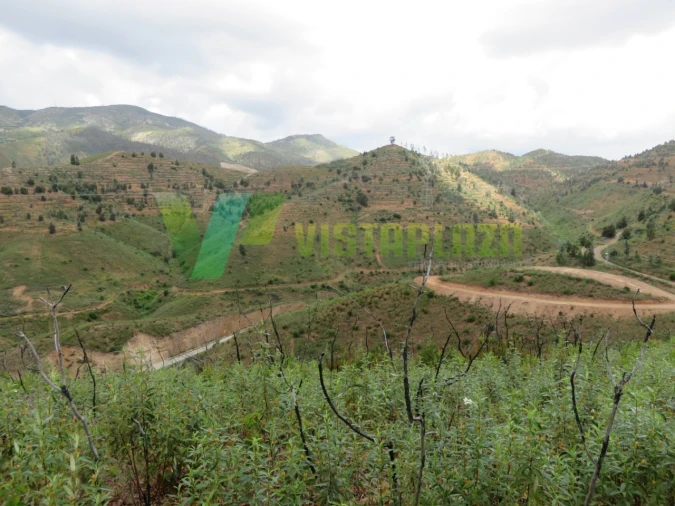 Terreno Agricola ou Rústico para Venda em Alferce Foto 4