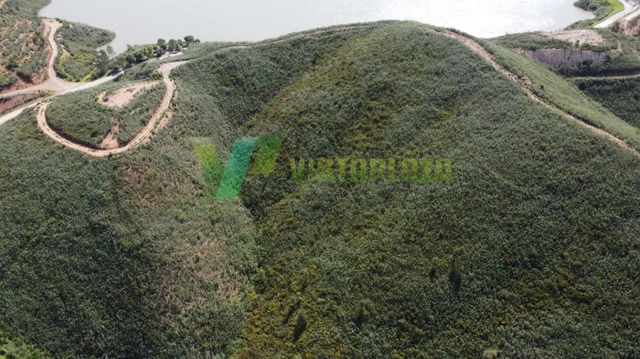 Terreno Agricola ou Rústico para Venda em Alferce Foto 19