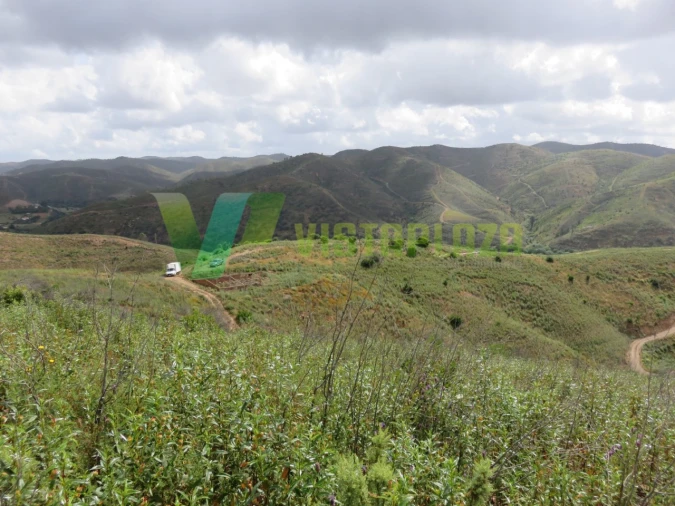 Terreno Agricola ou Rústico para Venda em Alferce Foto 10