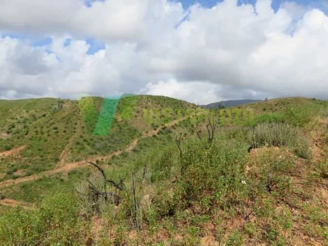 Terreno Agricola ou Rústico para Venda em Alferce Foto 13