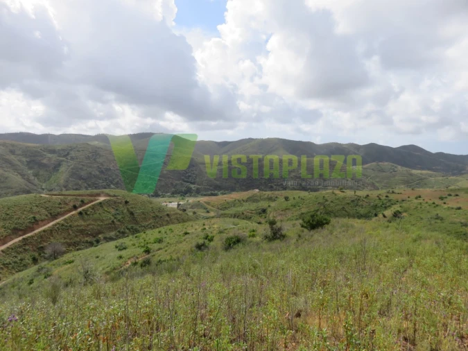 Terreno Agricola ou Rústico para Venda em Alferce Foto 14