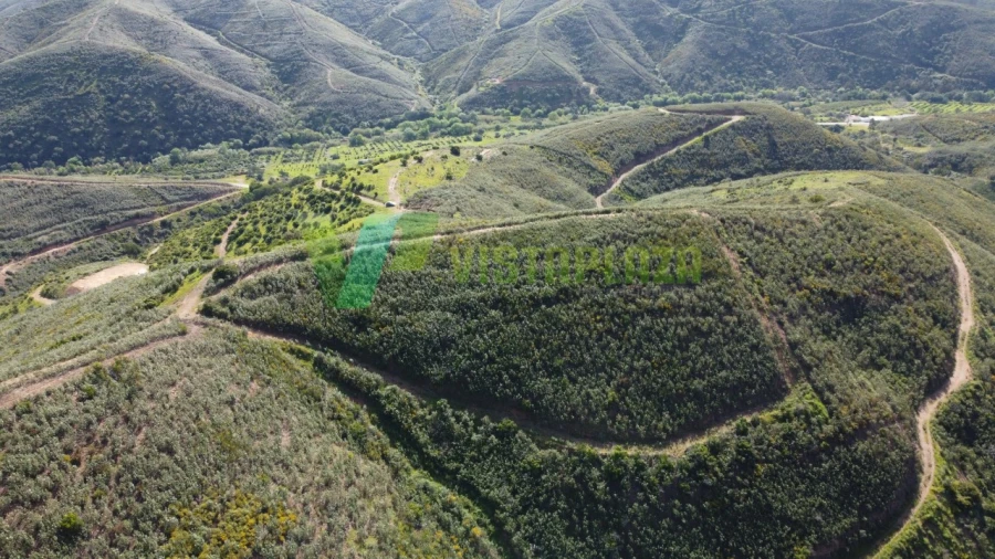 Terreno Agricola ou Rústico para Venda em Alferce Foto 6