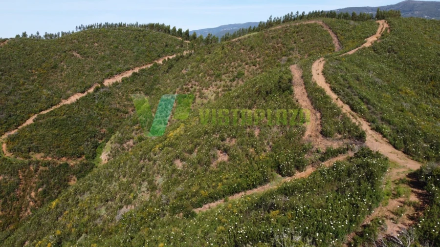 Terreno Agricola ou Rústico para Venda em Alferce Foto 19