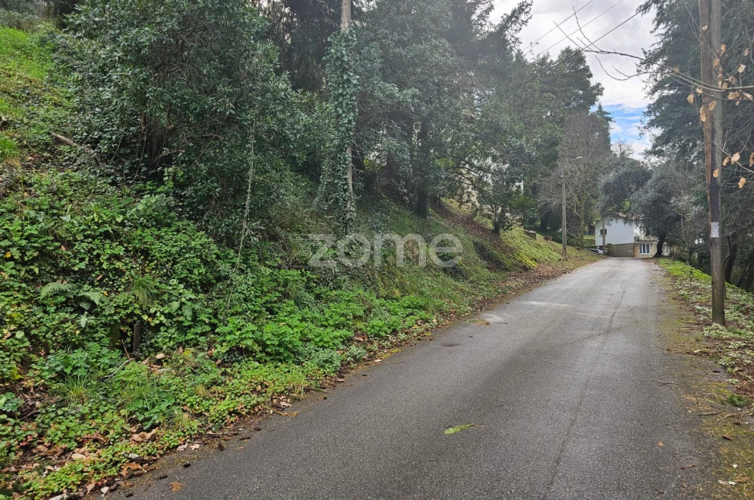 Terreno para Venda em Ferral Foto 2