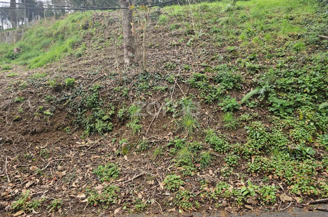 Terreno para Venda em Ferral Foto 3
