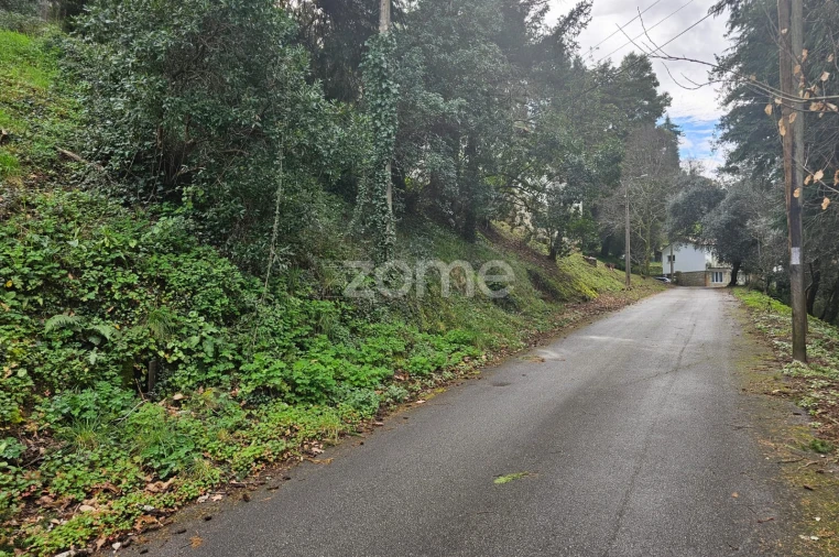 Terreno para Venda em Ferral Foto 2