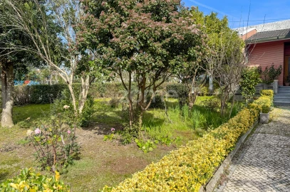 Terreno para Venda em Faíl e Vila Chã de Sá