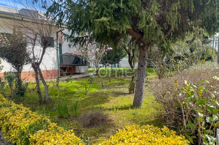 Terreno para Venda em Faíl e Vila Chã de Sá Foto 13