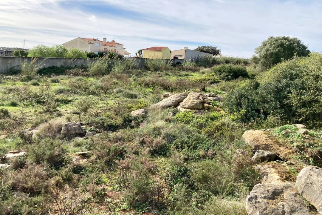Terreno para Venda em São Bartolomeu dos Galegos e Moledo Foto 3