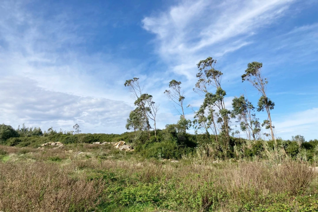 Terreno para Venda em São Bartolomeu dos Galegos e Moledo Foto 7