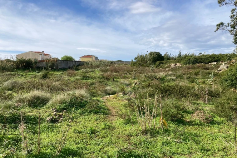 Terreno para Venda em São Bartolomeu dos Galegos e Moledo